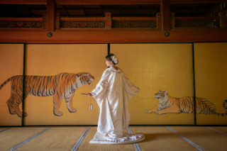 冬前撮りはお寺がねらい目！！