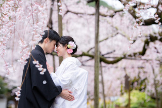 【古都photo 京都祇園店】春のキャンペーン｜対象プラン拡大のおしらせ