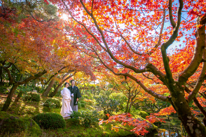 日本庭園の紅葉