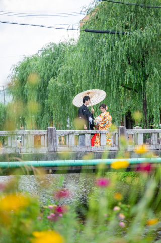 緑の季節にぴったりの東山白川