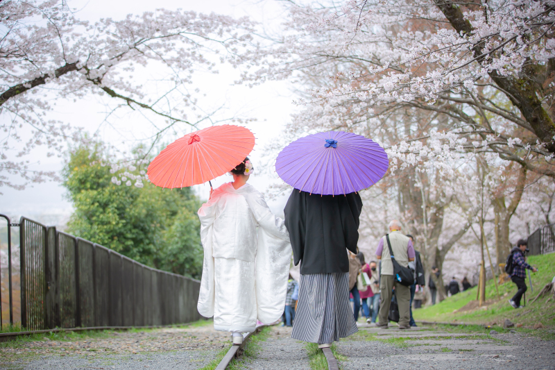 満開の桜とともに