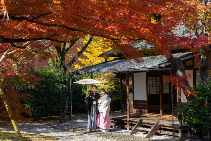 秋の紅葉におすすめ!完全貸切の「茶室と庭」