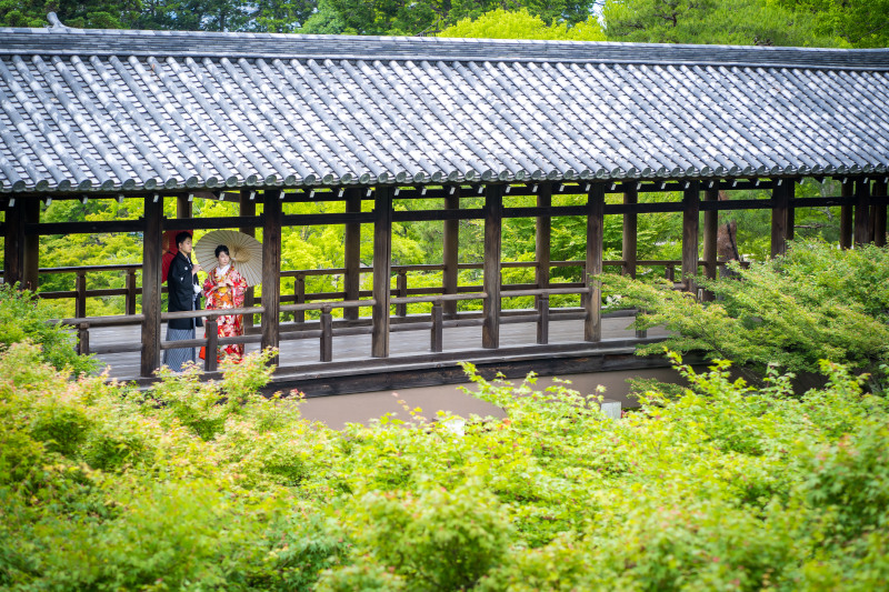 新緑シーズンはお寺で前撮り！