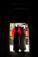 素敵なシルエット写真も！