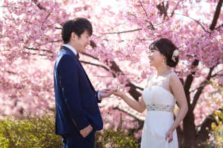 【古都photo 京都祇園店】撮影地紹介〜淀河津桜〜