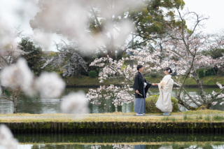 【古都photo】春のロケーション紹介〜大覚寺〜