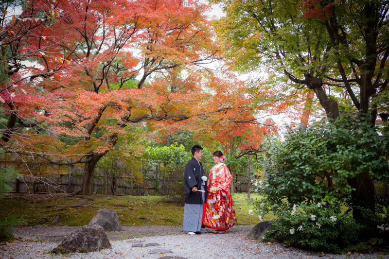 紅葉の「茶室と庭撮影会」予約受付中。11月16.17.19.20.23.24日