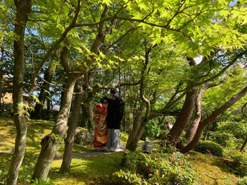 本日の撮影♬(日本庭園)
