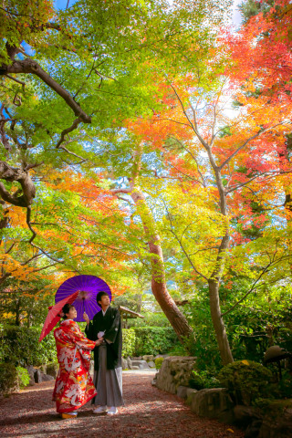 紅葉で撮影したい方注目～～