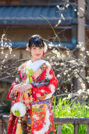 ボールブーケを無料レンタル(⋈◍＞◡＜◍)。✧♡