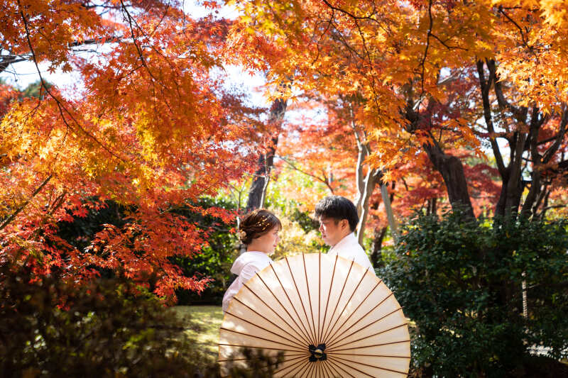 秋の紅葉におすすめ!完全貸切の「茶室と庭」
