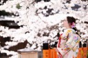 【古都photo 京都祇園店】桜シーズンの撮影受付中！キャンペーンも実施中！