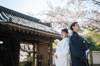 【古都photo 京都】春の撮影予約受付中！