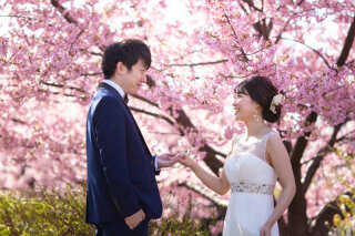 【古都photo 京都祇園店】桜ロケーション〜淀水路の河津桜〜