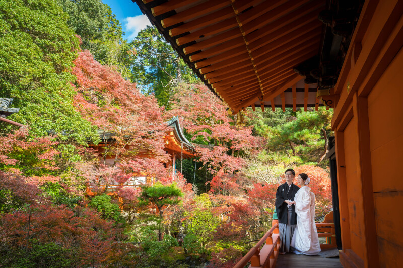 紅葉シーズンに空きが出ました!