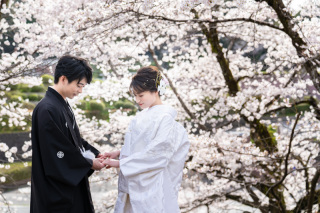 【古都photo 京都祇園店】空き状況のお知らせ