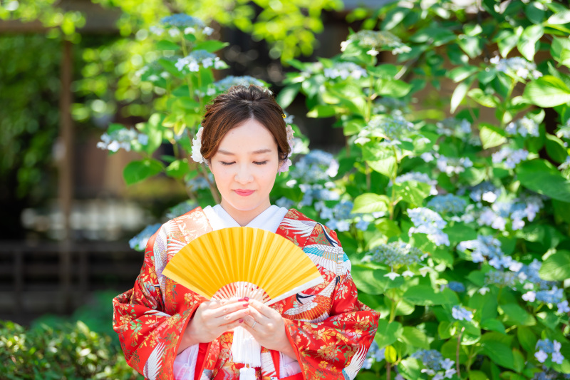 アジサイの美しい祇園