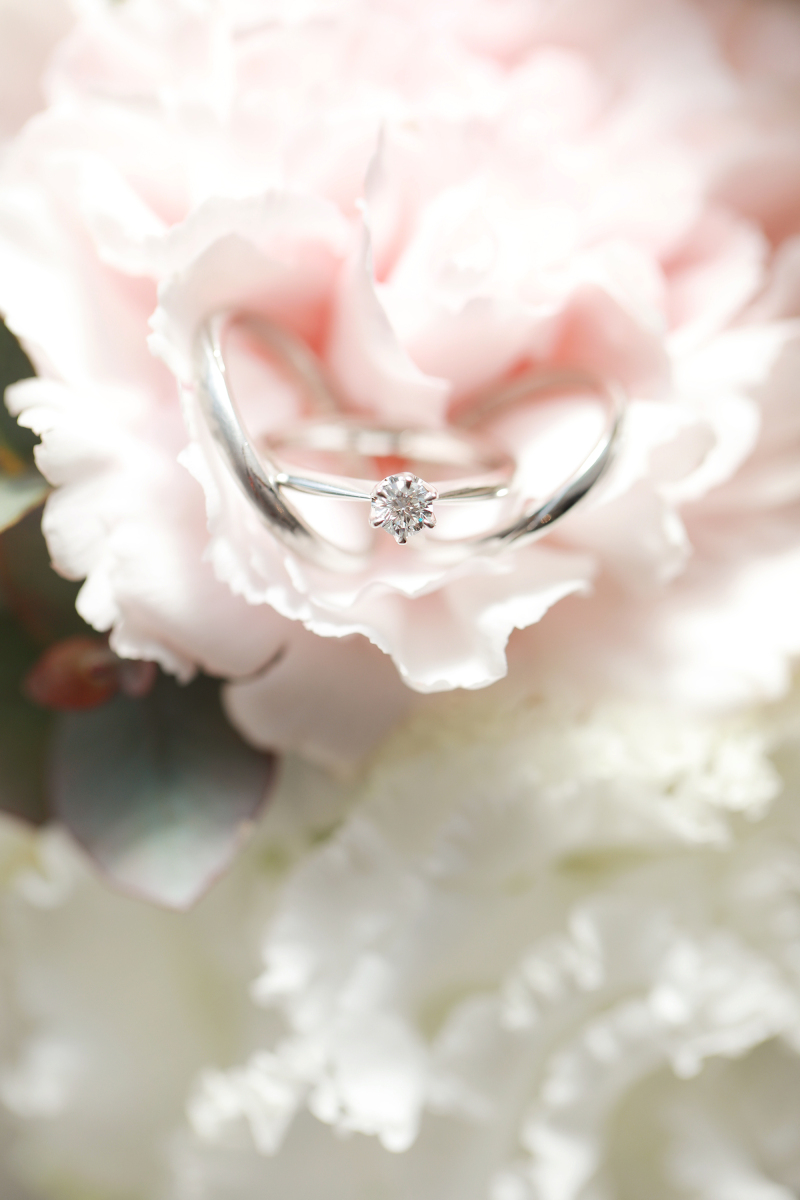 【11月迄にご来館いただいた方限定!】期間限定30%OFFのお知らせ♪