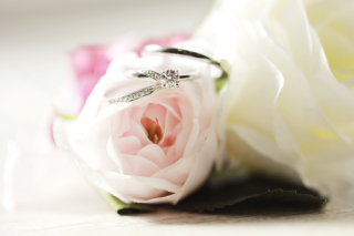 前撮りのご紹介✨