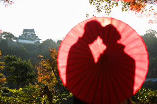 秋の撮影・・まだご予約承っております
