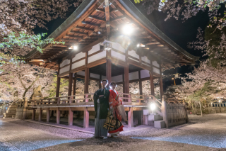 夜桜を貸しきり撮影