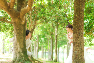 新緑は自然・光・色のバランスが整うシーズンです