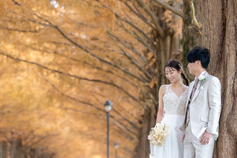 黄金色の風景を永遠の一枚に・・・