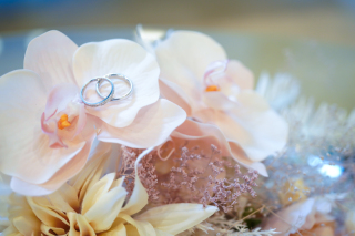 ♡お客様から嬉しい言葉♡