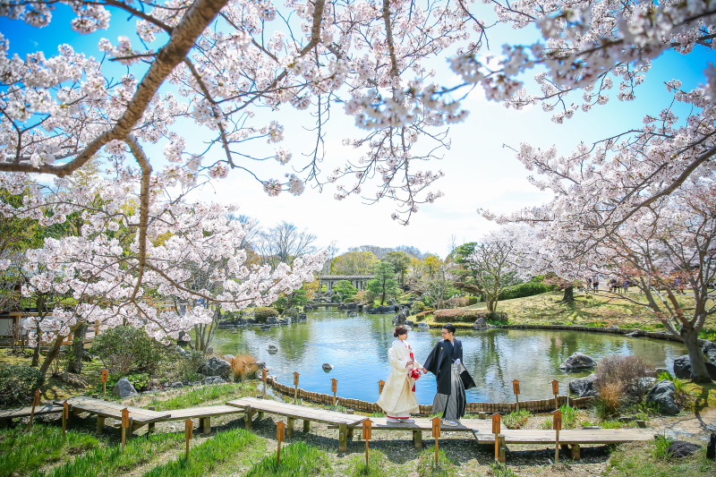 桜シーズン到来♡4月撮影枠残り僅かです♡