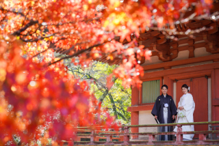 今週末ご見学空き枠♡