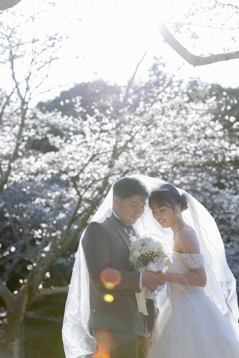 満開の桜ロケーション撮影♪