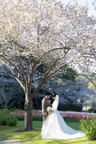 満開の桜ロケーション撮影♪