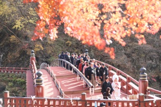 紅葉シーズンの撮影が人気♪