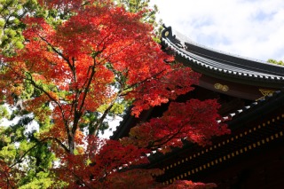 紅葉の名所!日光山輪王寺大解説!