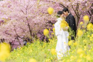 期間限定の河津桜フォト、受付スタート!