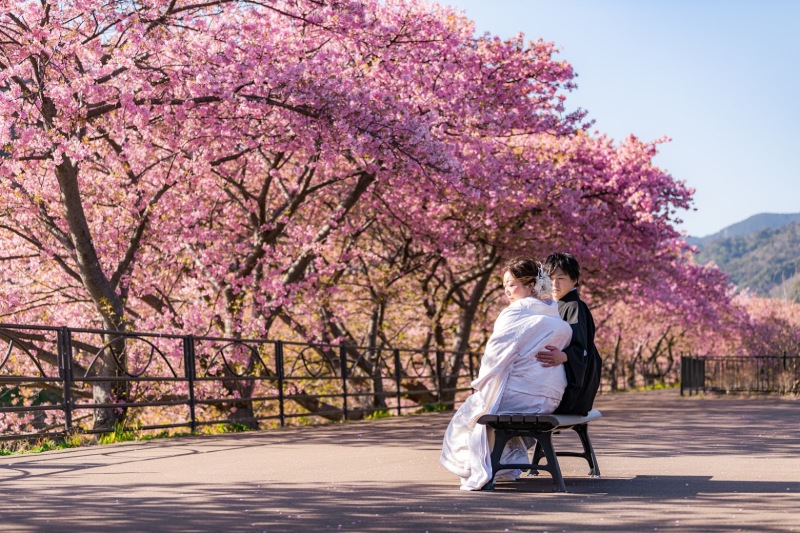 2022年の河津桜の撮影のご予約開始いたします!