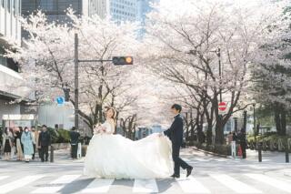 桜シーズンが近づいてまいりました!