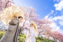 和装にも洋装にも!春を満喫する河津桜☆