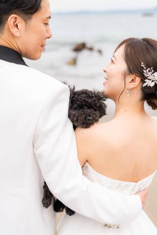 犬と撮るフォトウェディング完全ガイド｜準備から当日の流れまで解説