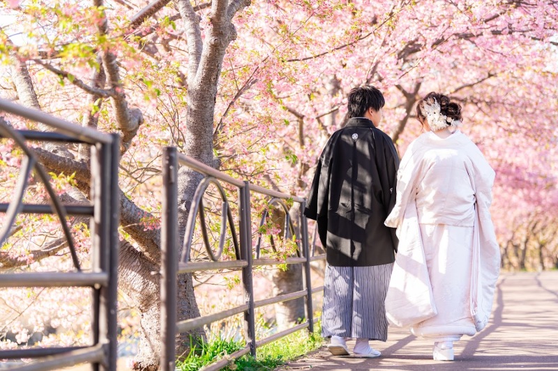河津桜での撮影ものこりわずかに！