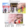 桜とのフォトウエディングが24toweddingで叶う!!