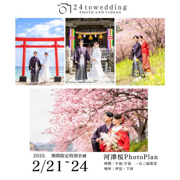 桜とのフォトウエディングが24toweddingで叶う！！