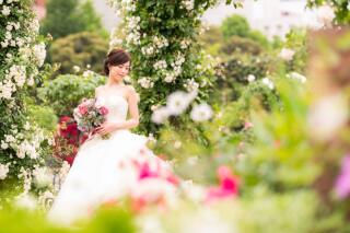 山下公園、薔薇の季節が近づいています♡