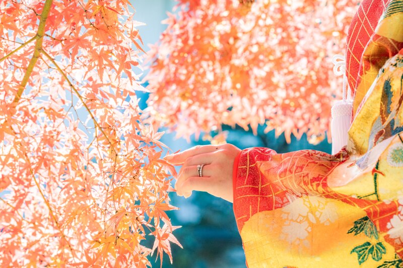 【紅葉シーズン追加枠のご案内】一年で最も美しい季節、特別な撮影を──