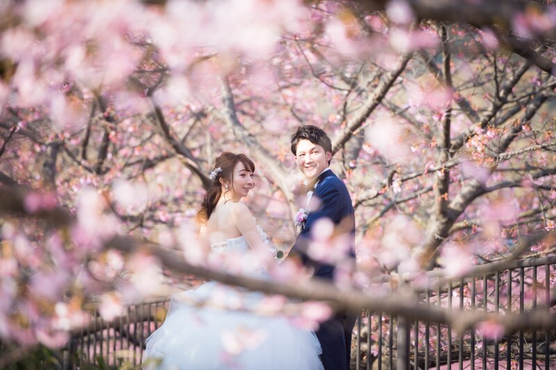 期間限定の河津桜フォト、受付スタート!