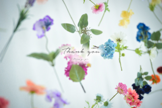 2022年のNINA Primary Pictures