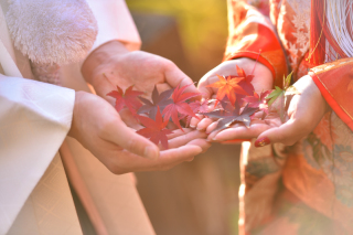 NINAのお得な秋がやってくる!!