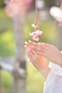 桜が舞い散ると、新緑の季節へ