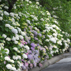 平日キャンペーンやってます♪♪