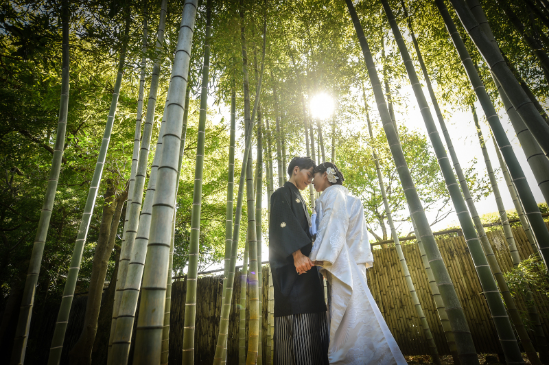 新緑シーズンが近づいております♡